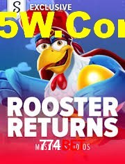 Sports Statistics 774Bet